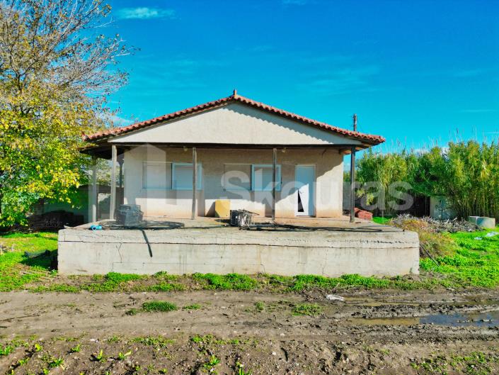 Image No.13-2 Bed House for sale