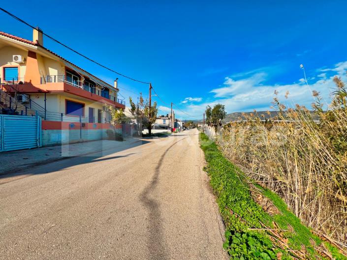 Image No.22-2 Bed House for sale