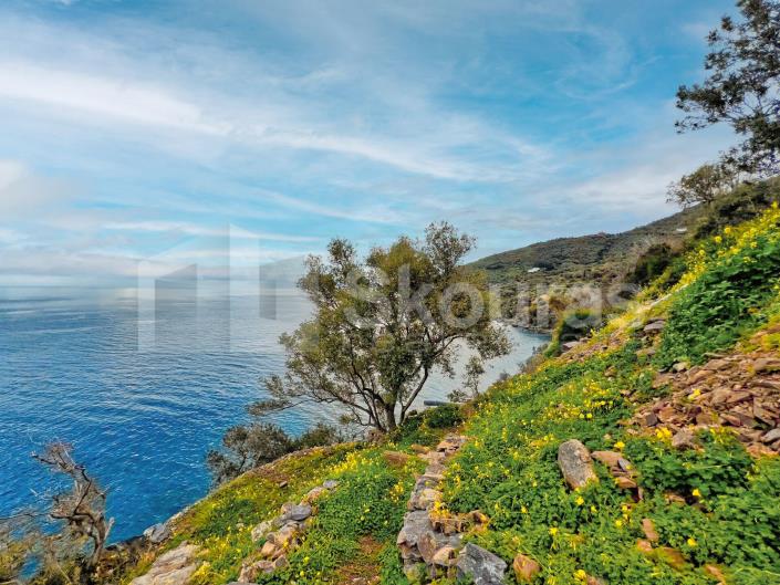 Image No.28-6 Bed House/Villa for sale