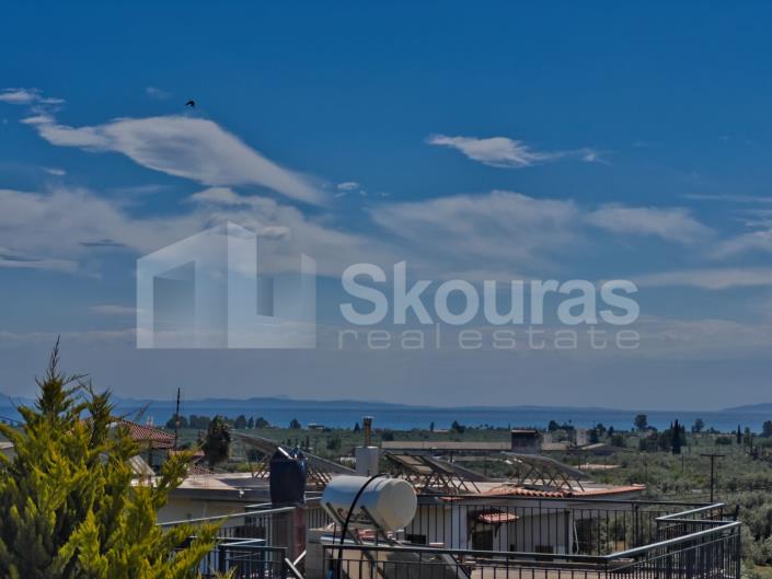 Image No.17-3 Bed House for sale