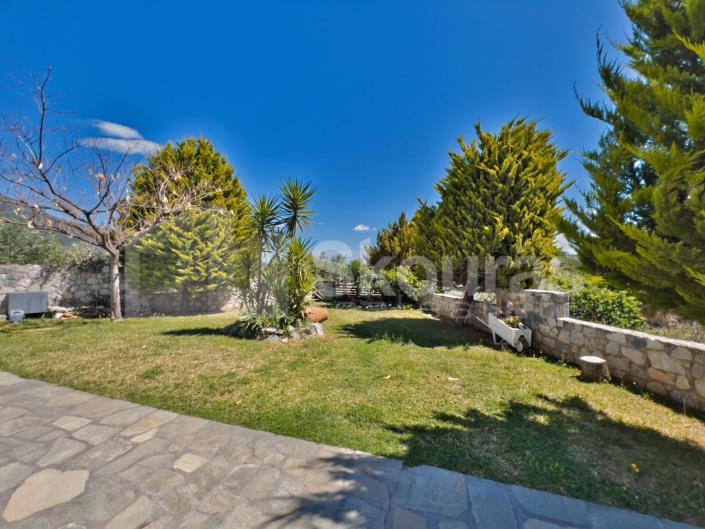 Image No.21-3 Bed House for sale