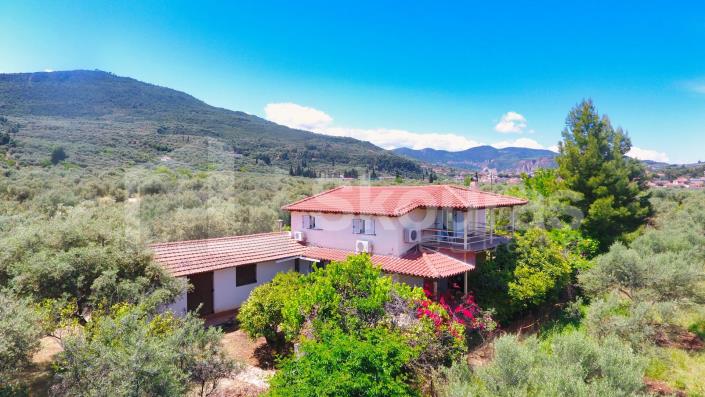 Image No.25-4 Bed House for sale