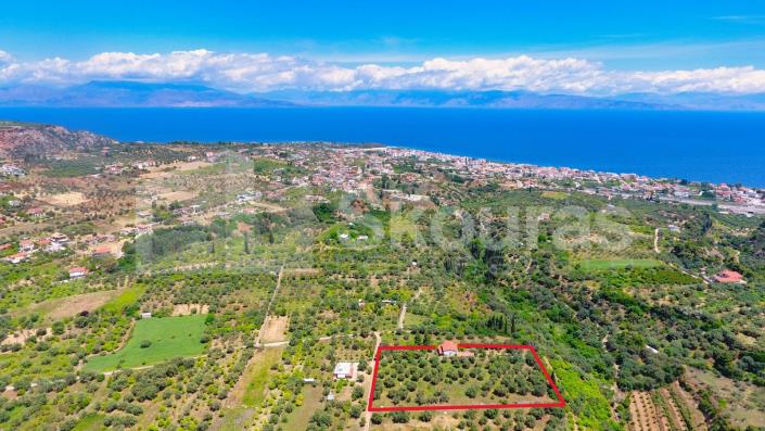 Image No.4-4 Bed House for sale