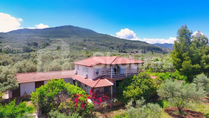 Image No.5-4 Bed House for sale