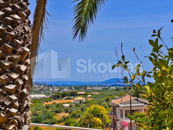 Image No.5-7 Bed House/Villa for sale