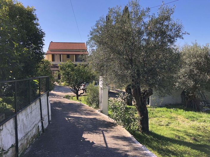 Image No.4-3 Bed House for sale