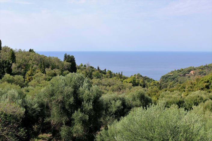 Image No.3-10 Bed Hotel for sale