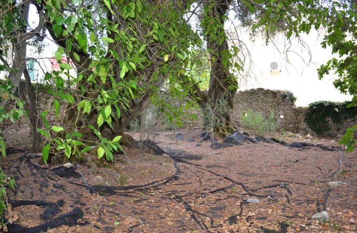 Image No.13-12 Bed Property for sale