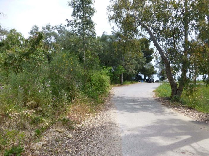 Image No.5-Land for sale