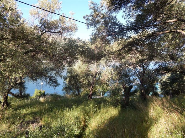 Image No.5-Land for sale