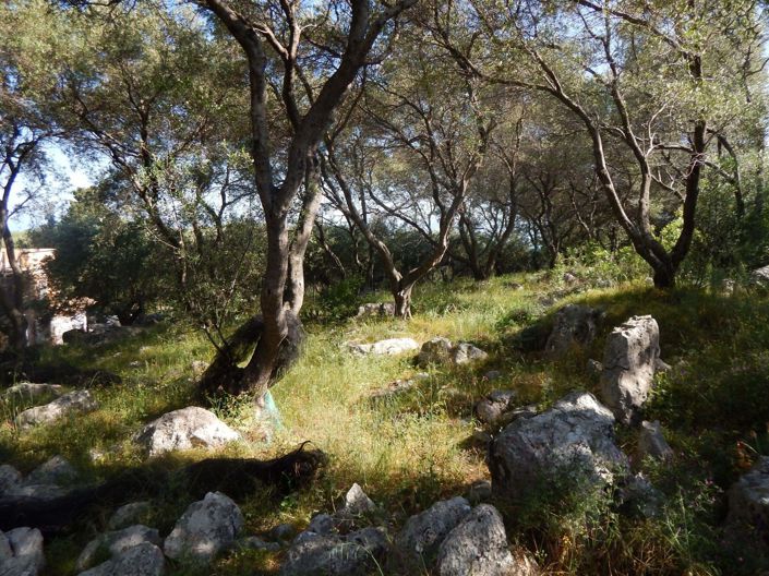 Image No.7-Land for sale