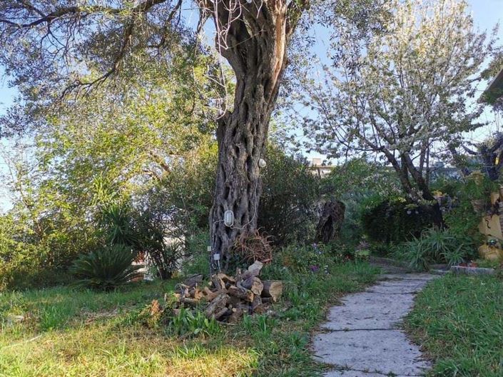 Image No.6-3 Bed Land for sale