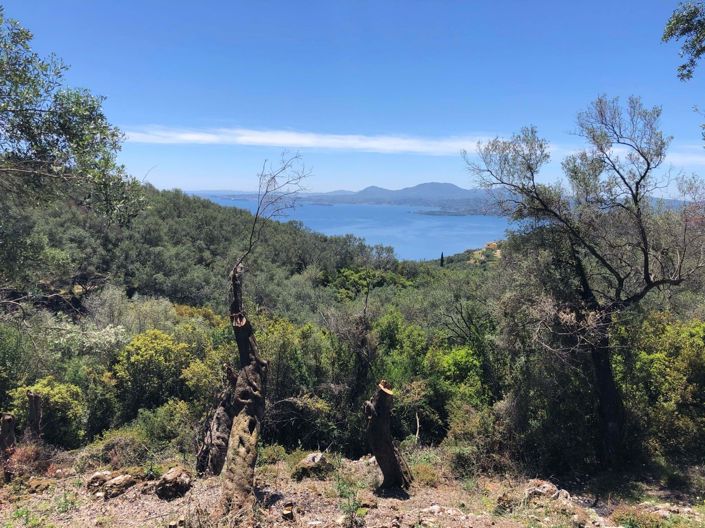 Image No.10-Land for sale