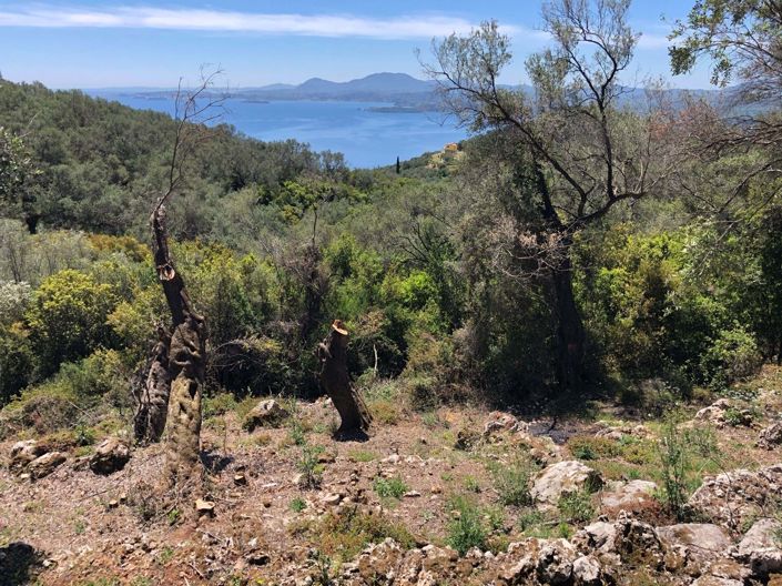 Image No.2-Land for sale