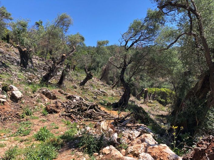 Image No.4-Land for sale