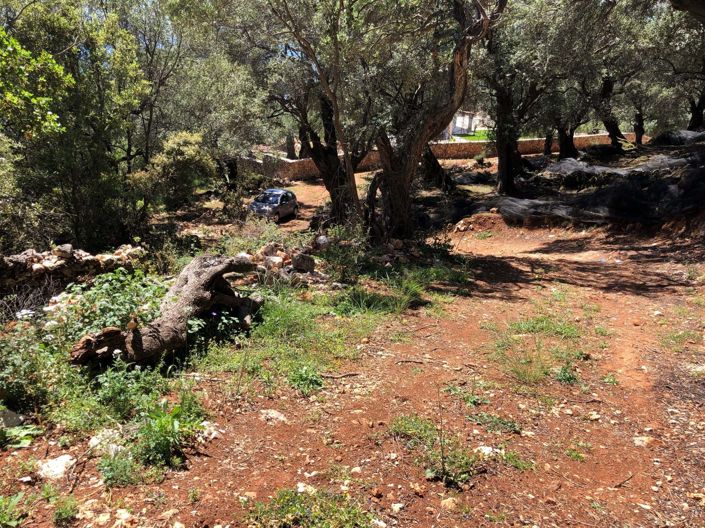 Image No.6-Land for sale