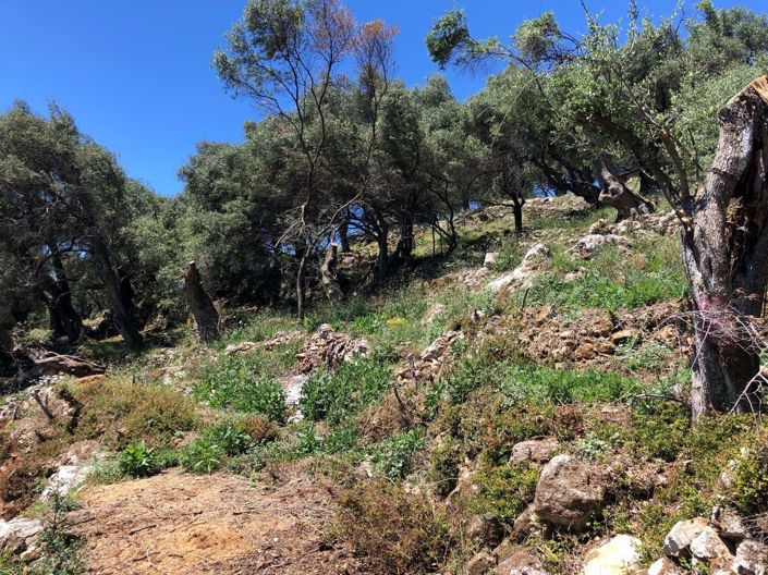 Image No.9-Land for sale