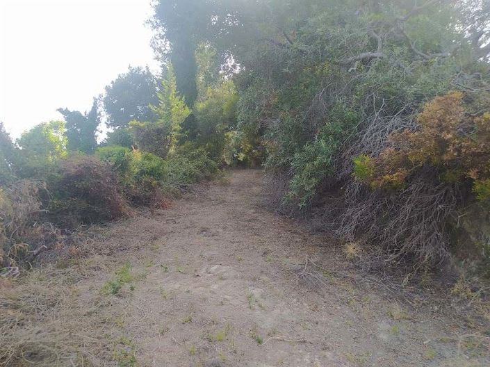 Image No.3-Land for sale