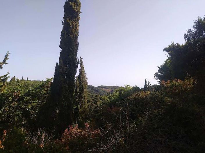 Image No.4-Land for sale