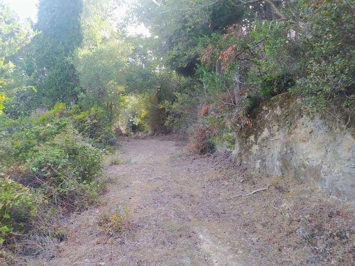 Image No.5-Land for sale