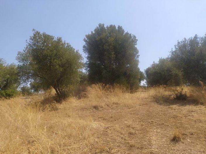 Image No.3-Land for sale