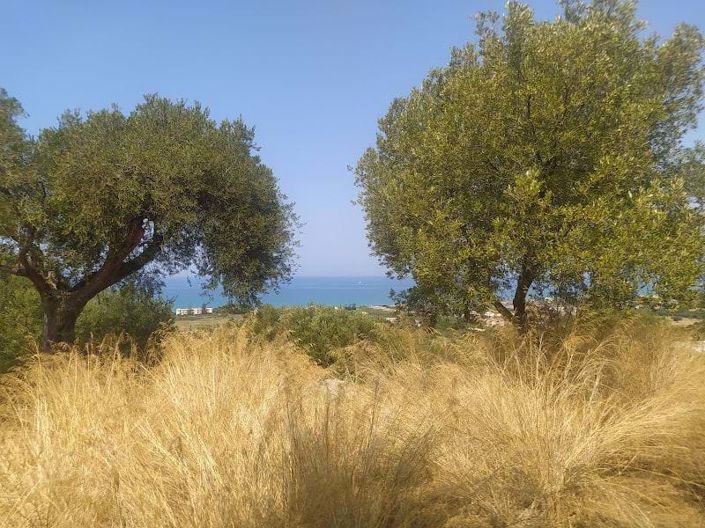 Image No.5-Land for sale