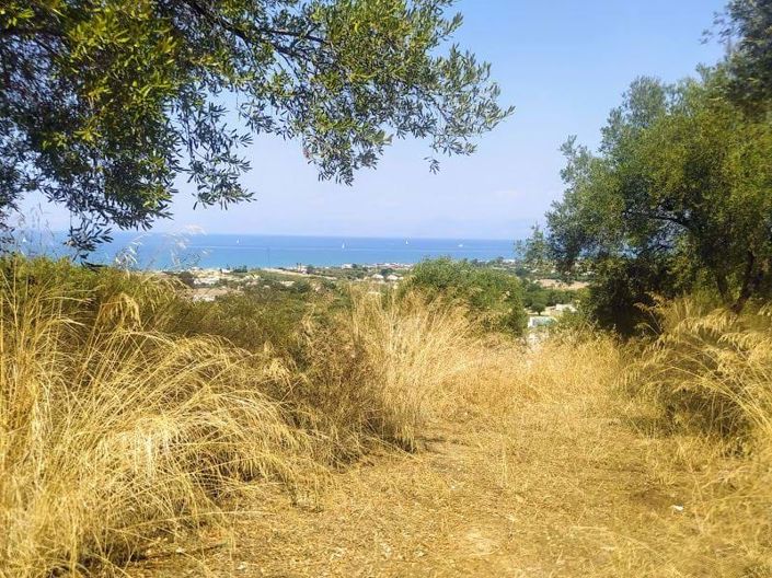 Image No.6-Land for sale