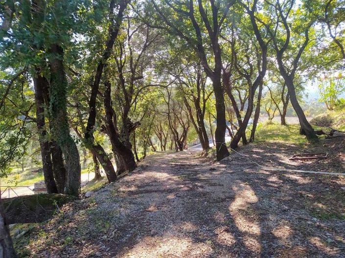 Image No.4-Land for sale