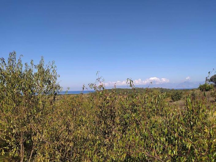 Image No.8-Land for sale