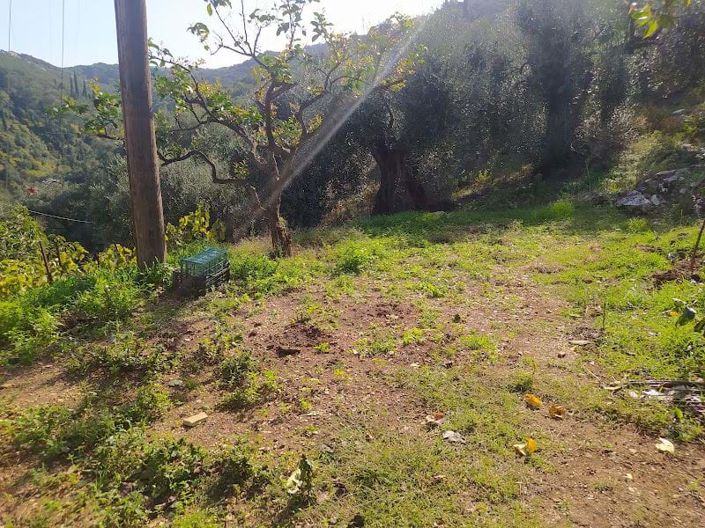 Image No.14-5 Bed House for sale