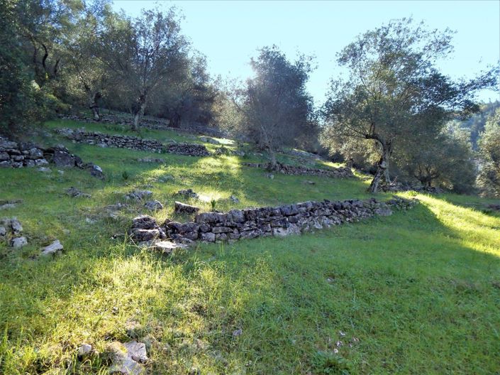 Image No.2-Land for sale