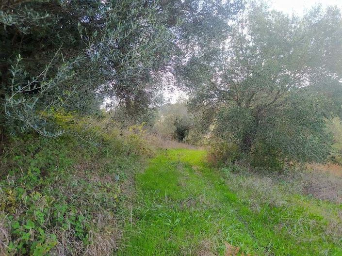 Image No.7-Land for sale