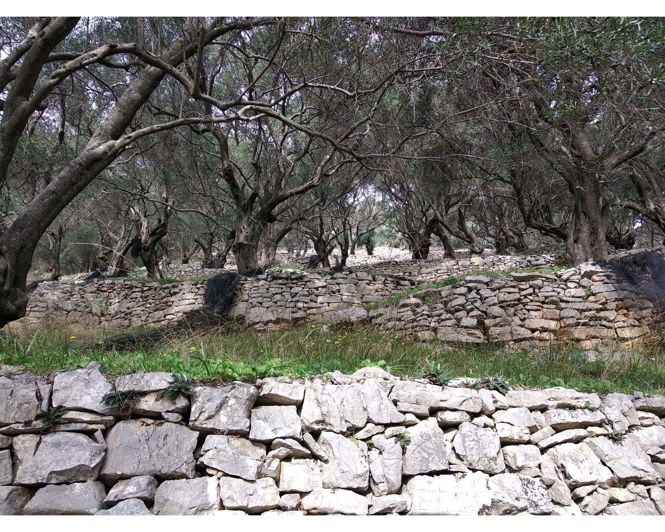 Image No.5-Land for sale