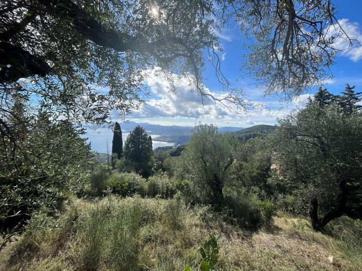 Image No.2-Land for sale