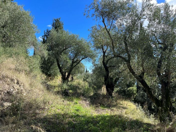 Image No.7-Land for sale