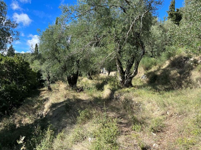 Image No.8-Land for sale