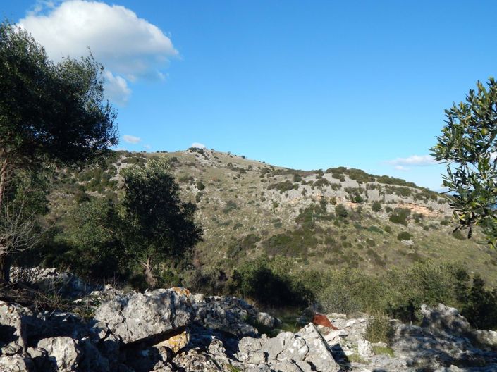 Image No.9-Land for sale