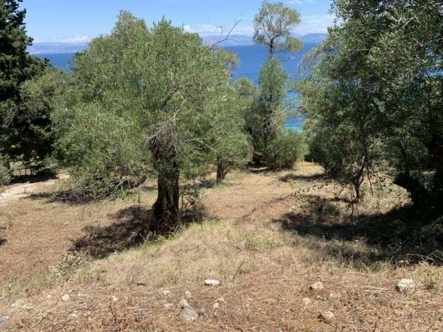 Image No.5-Land for sale