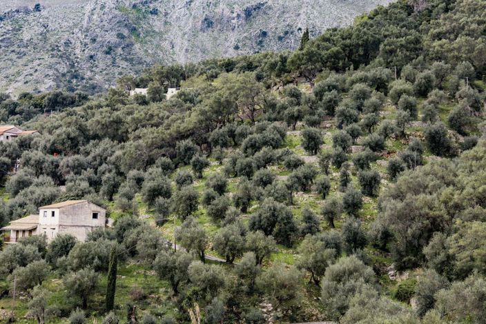 Image No.12-Land for sale