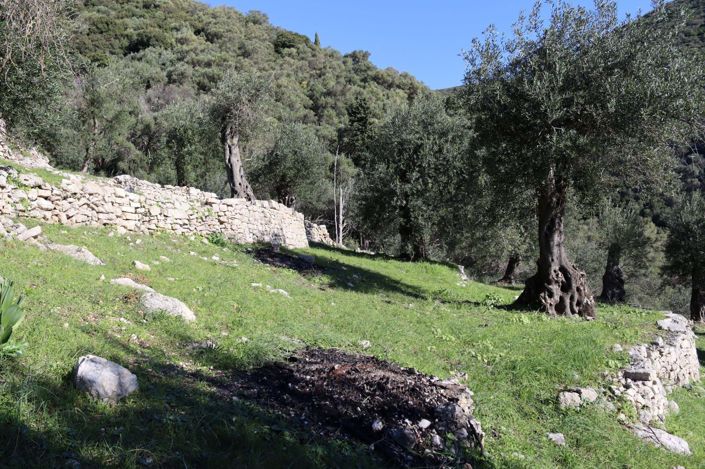 Image No.4-Land for sale