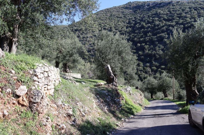 Image No.6-Land for sale