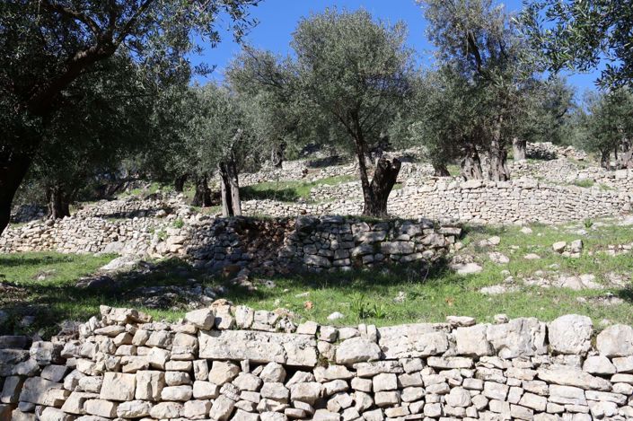 Image No.7-Land for sale