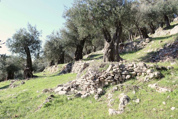 Image No.8-Land for sale