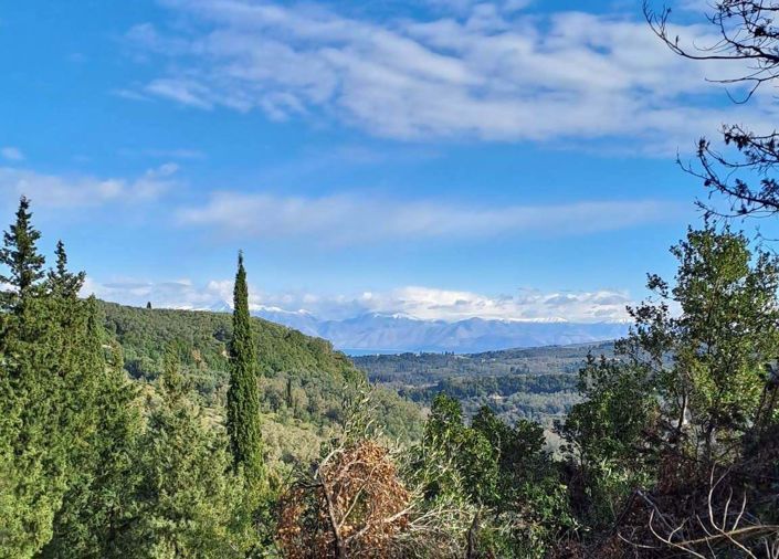 Image No.2-Land for sale