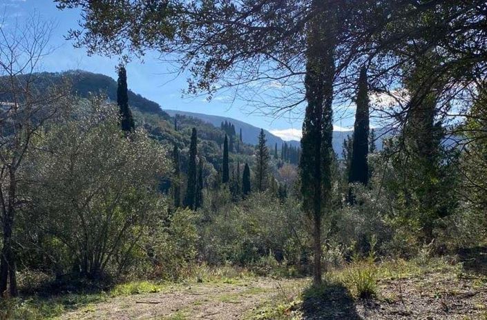 Image No.5-Land for sale