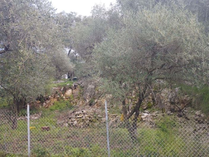 Image No.8-Land for sale