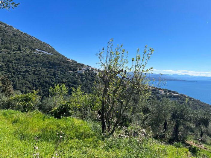 Image No.8-Land for sale