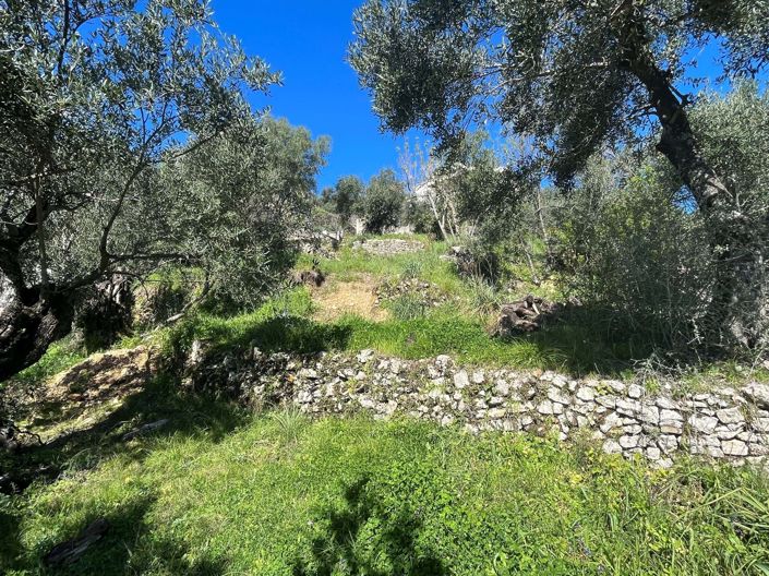 Image No.9-Land for sale