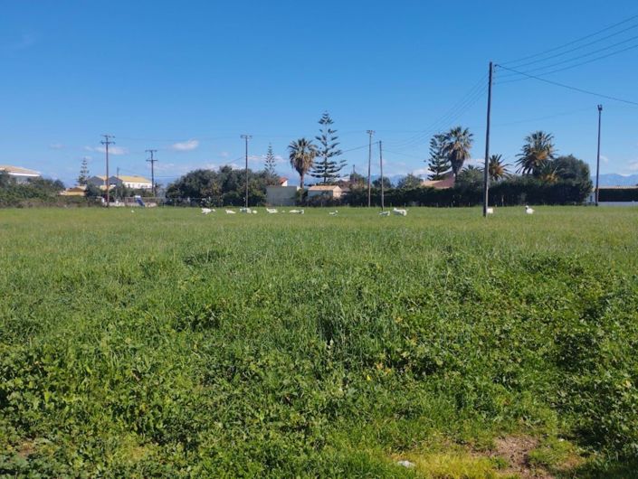 Image No.3-Land for sale