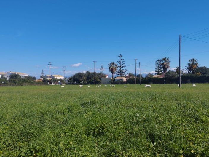 Image No.7-Land for sale